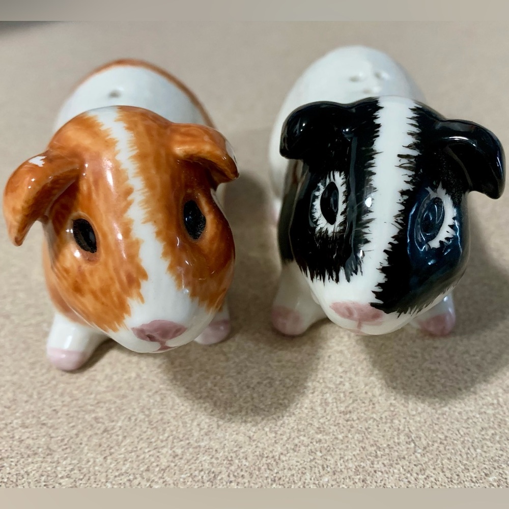 Guinea Pig Salt & Pepper Shakers